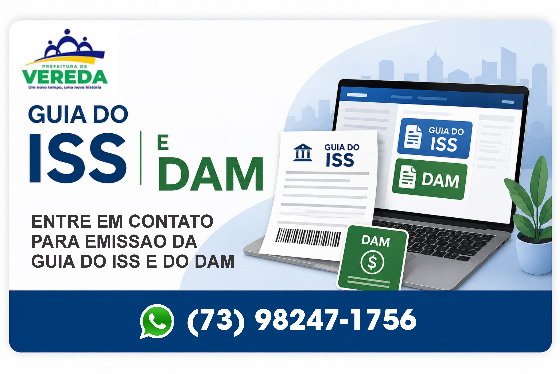 Guia ISS e DAM